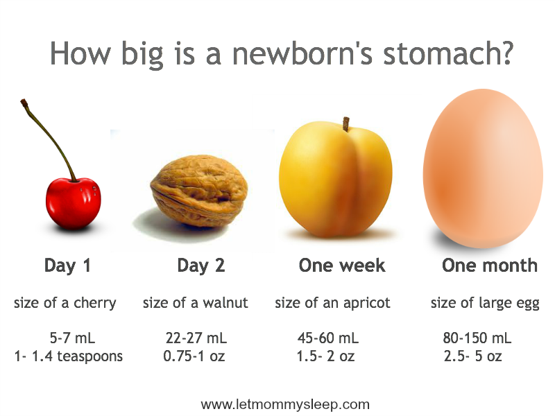 How big is a newborn's stomach?