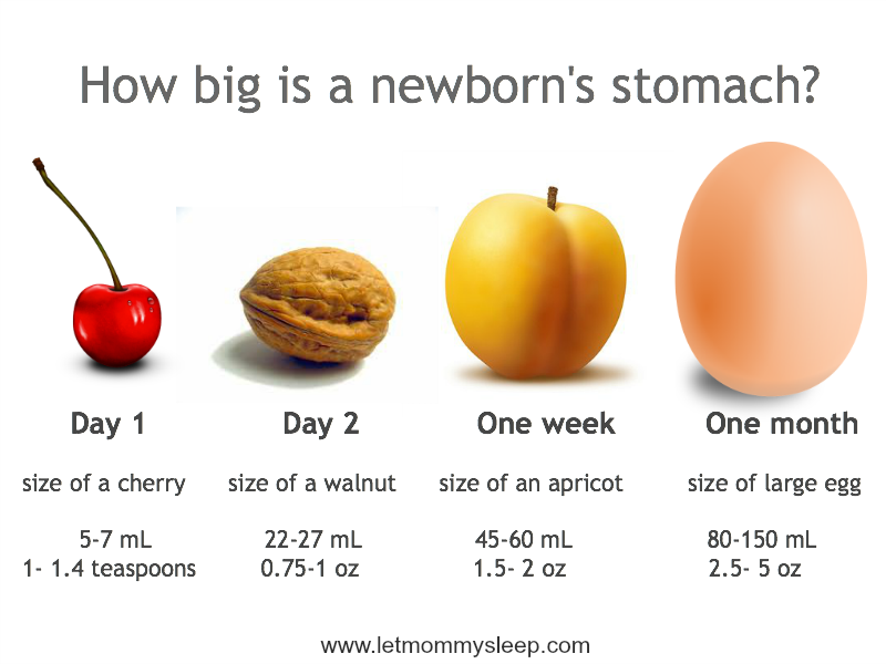 Size Of Infant Stomach Chart