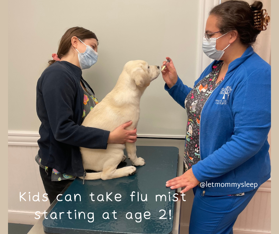 The Flu Shot Facts vs Fake News